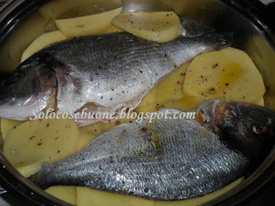 branzino all acqua pazza