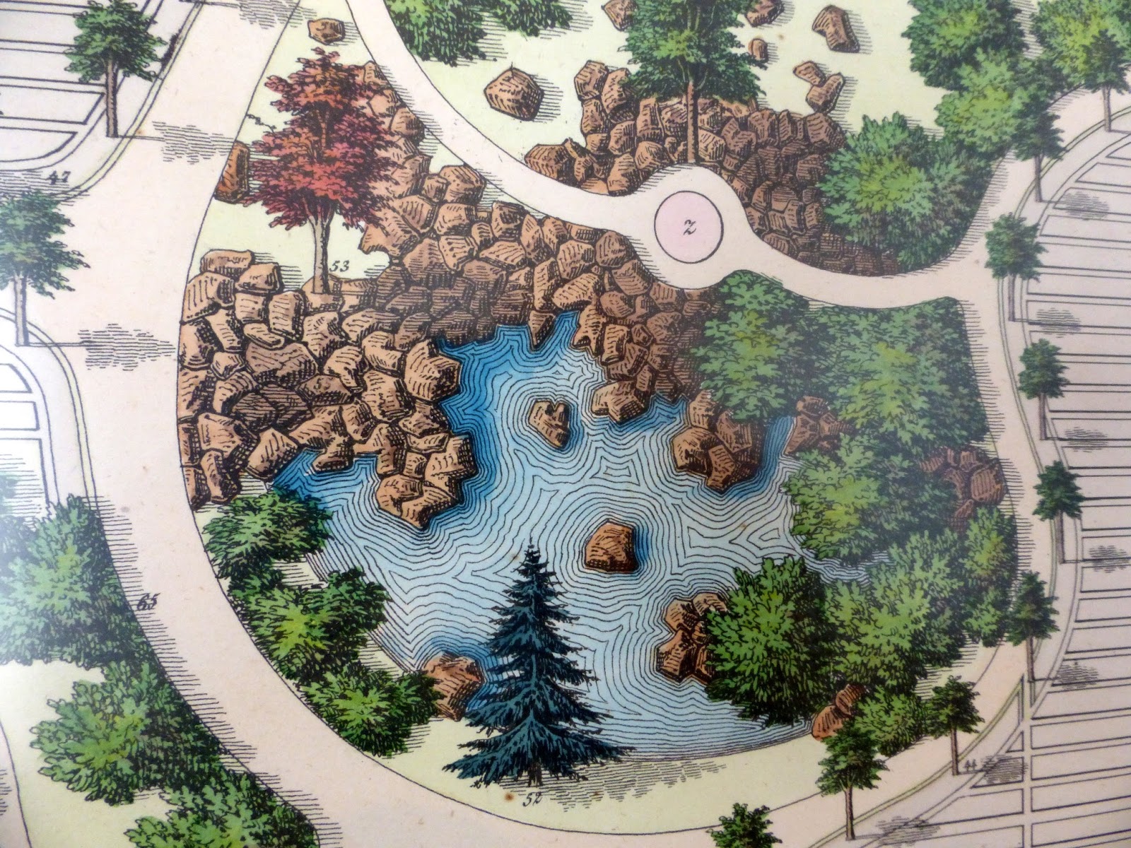 Ripensando la vita: villa giulia mostra "il giardino" Giardino disegno Laghetto