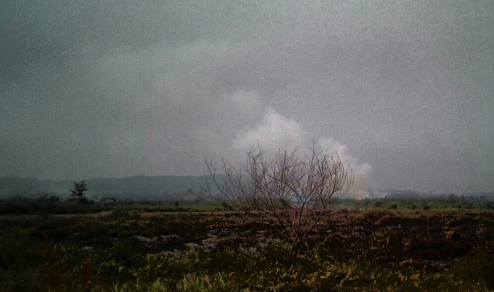 Экология. Окружающая среда. Улица урбана. Туманы и мгла в краснодарском крае картинки. Защита природы.