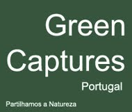 Green Captures