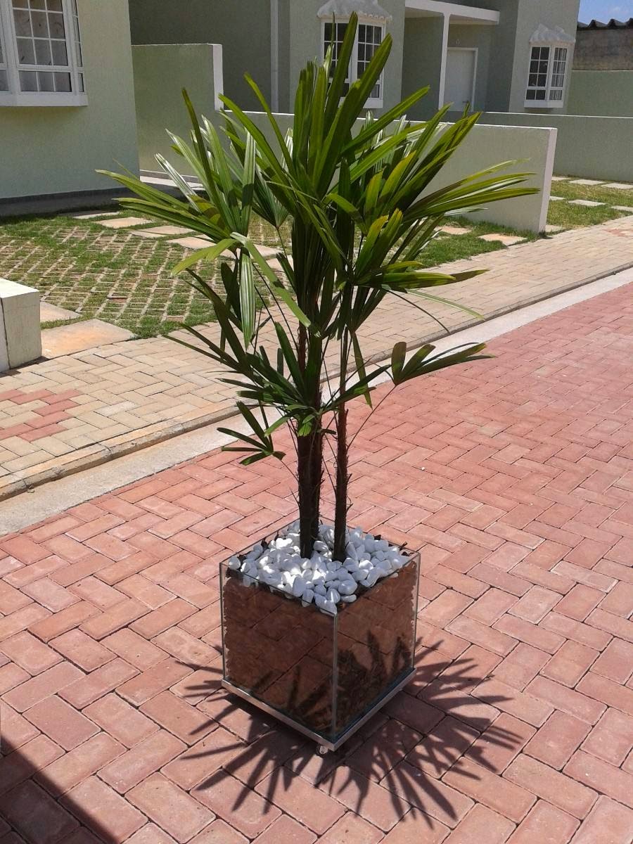 Ssr Garden Vasos E Plantas