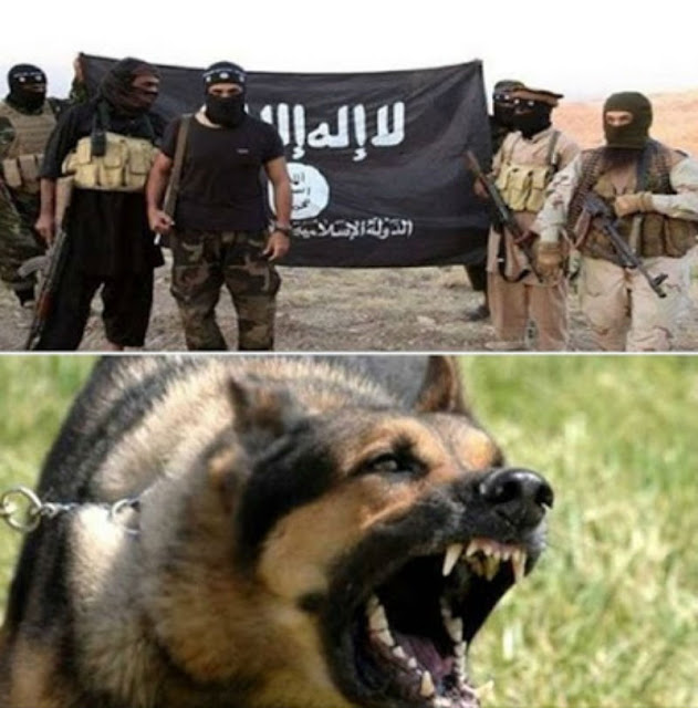 ما هو الذي يقدم طعام لكلاب داعش؟ لا حول ولا قوة الا بالله عندما ستعرف ستصاب بالدهشه. ما هو الذي يقدم طعام لكلاب داعش؟ لا حول ولا قوة الا بالله عندما ستعرف ستصاب بالدهشه.