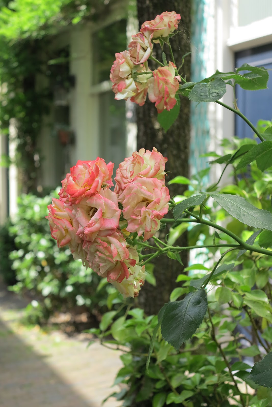 ByHaafner * crochet Container gardens 3
