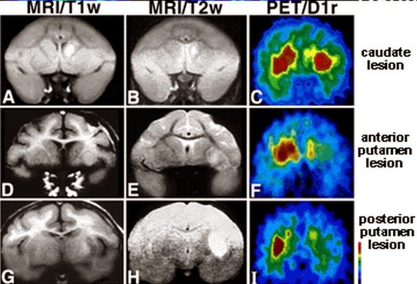 BLOG TEKNIK & VOKASI: Prosedur Pelaksanaan & Proses Pembentukan Gambar ...