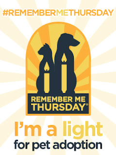 Remember Me Thursday|Helen Woodward Animal Center