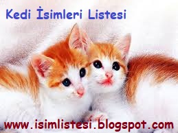 Isimler Ve Anlamlari Kiz Isimleri Erkek Isimleri Turkce Isimler 2019 Erkek Kedi Isimleri Disi Kedi Isimleri Yerli Yabanci