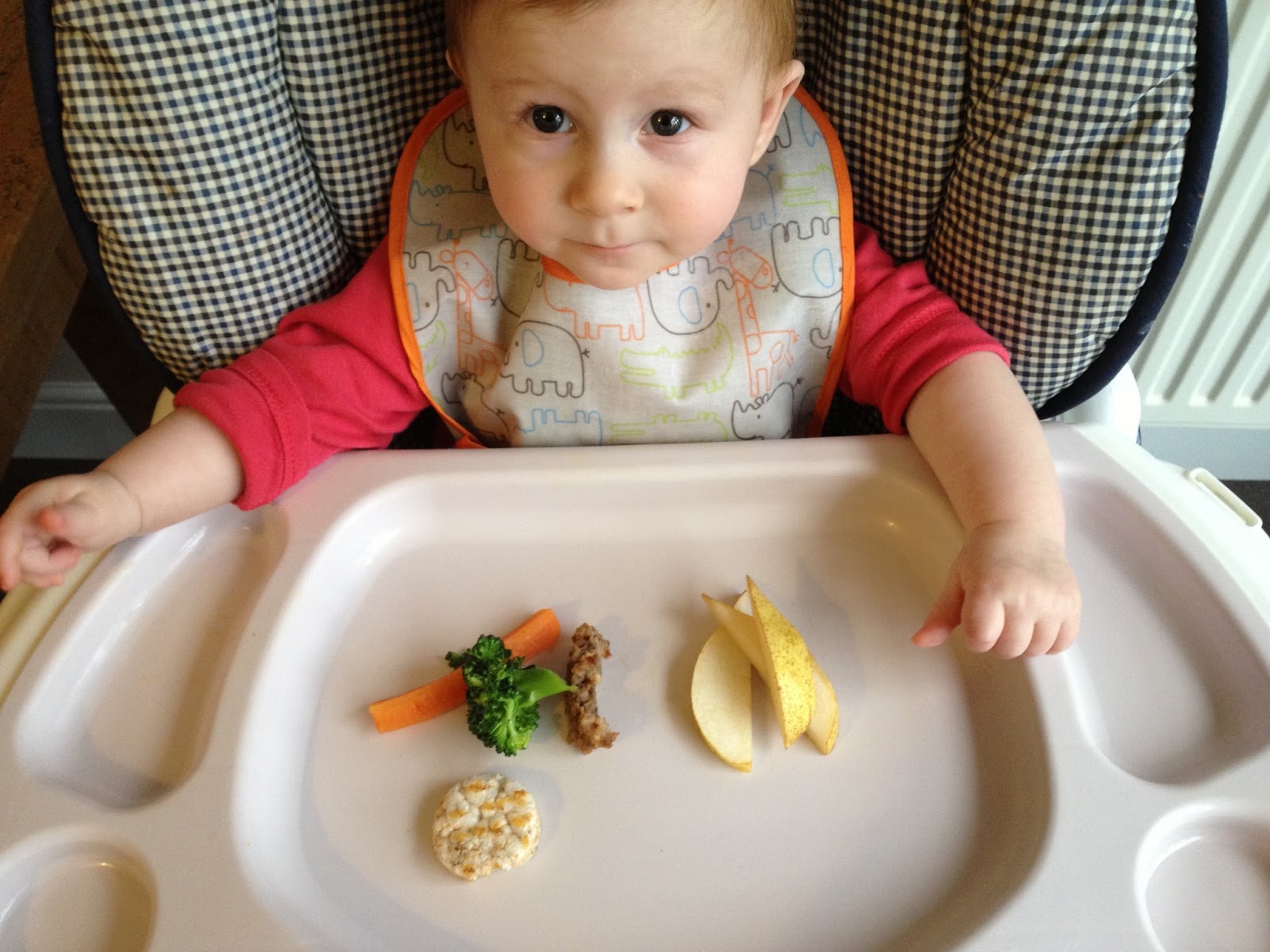 birth of a mum: baby-led weaning update