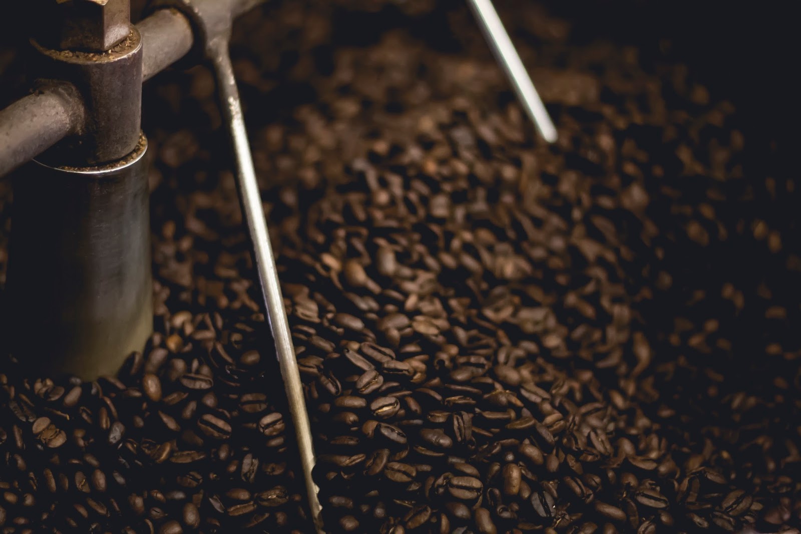 FIVESSO EXPERIENCE The Benefits of Coffee Bean Oil