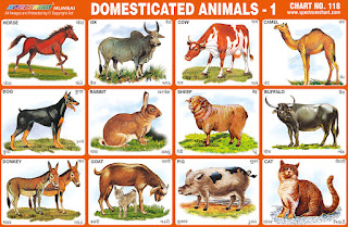 Spectrum Educational Charts: Chart 118 - Domesticated Animals 1