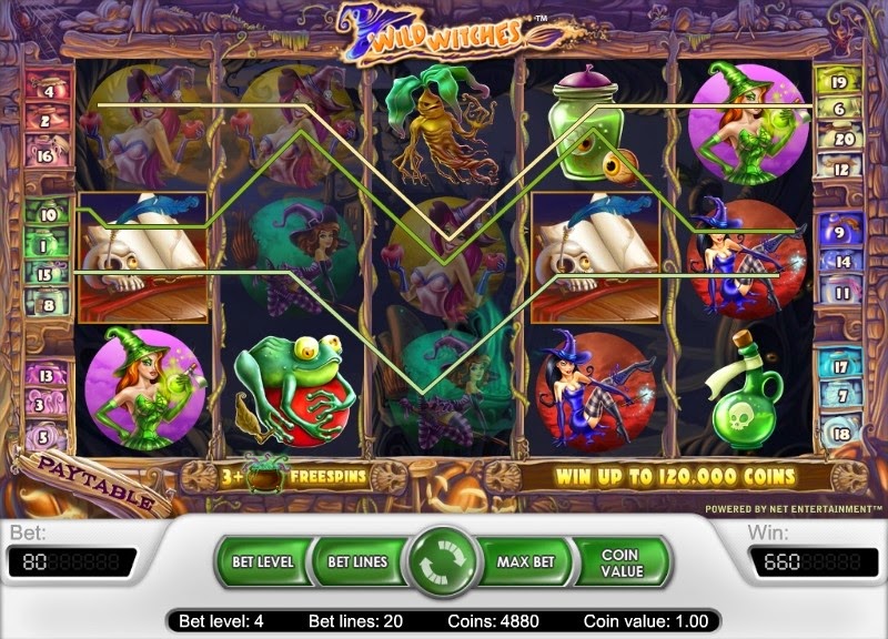 Wild Witches Video Slot Screen