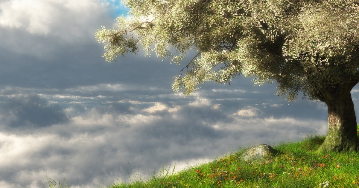 Free Nature Theme Blogger Free Nature Theme Blogger