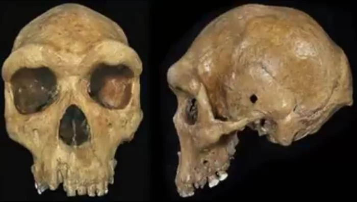 The mystery of ancient skulls with “bullet holes”
