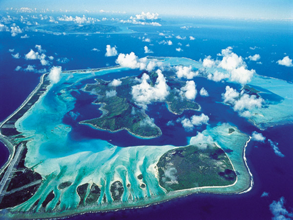 Природные особенности океанов. Океания. Природа Океании. Острова Тихого океана. Природный мир Океании.