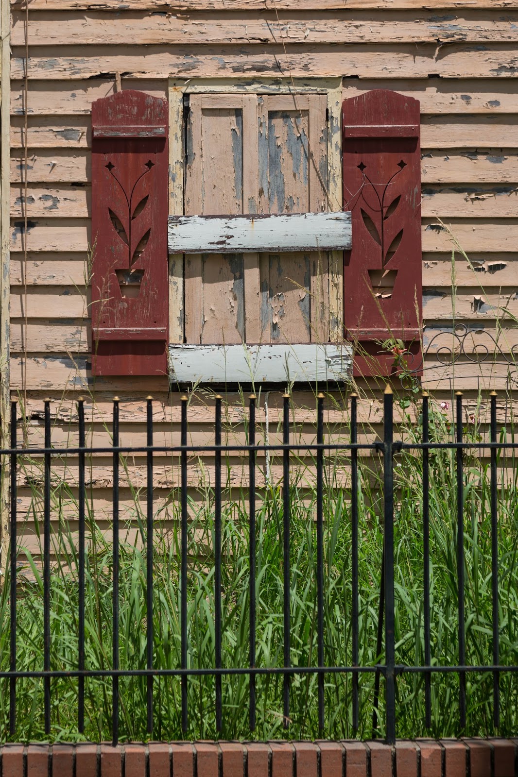 Charleston Daily Photo Shutter art