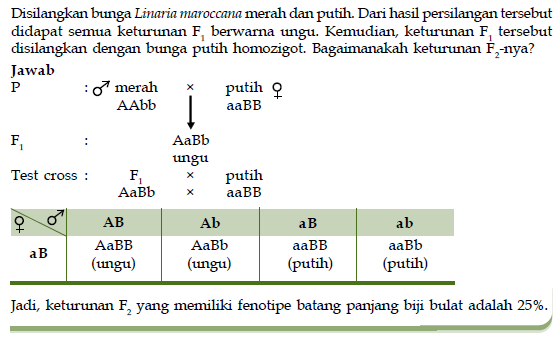 Contoh Soal Penyimpangan Semu Hukum Mendel Materi Soal