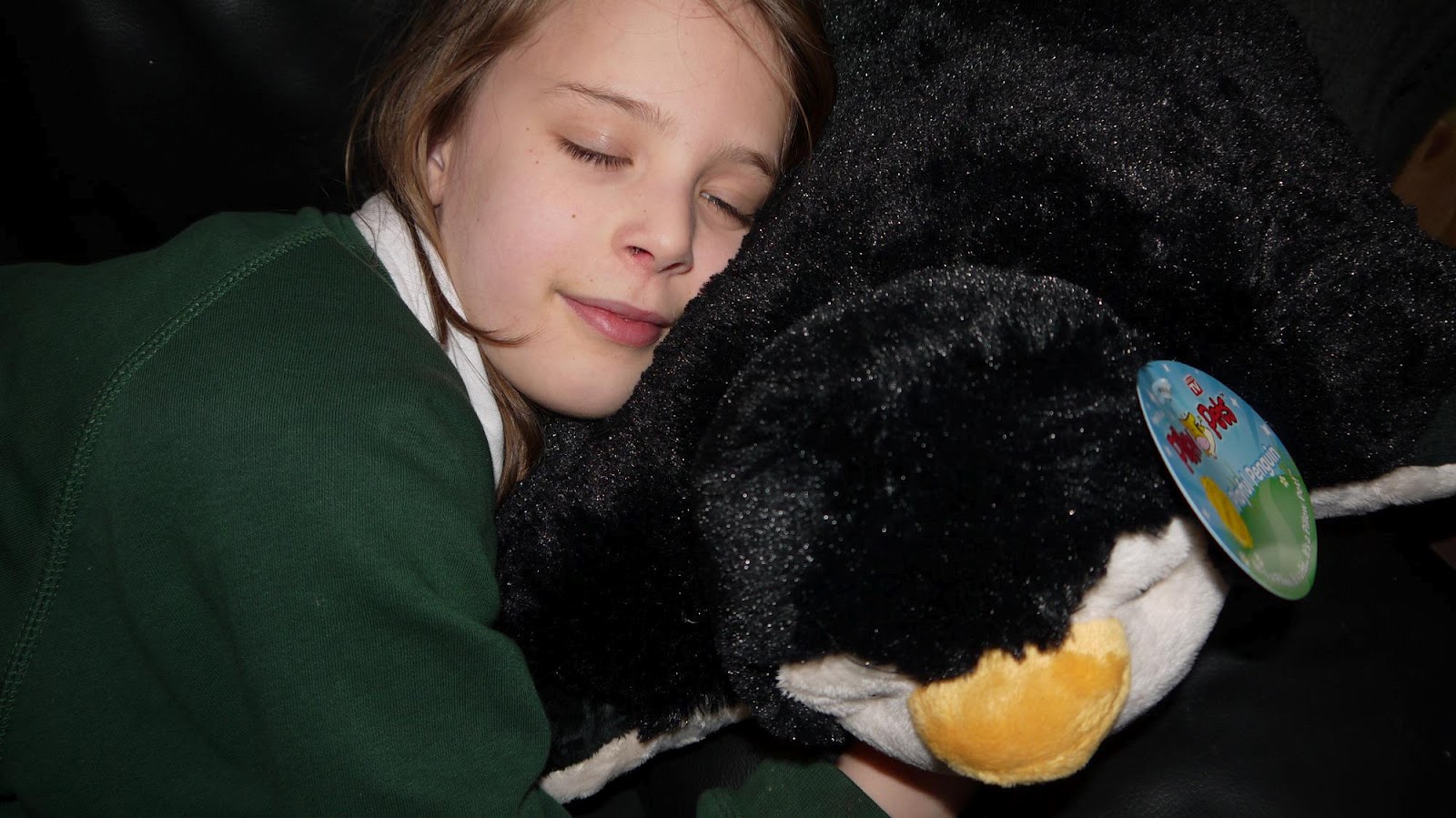 Inside the Wendy House: Pillow Pets 
