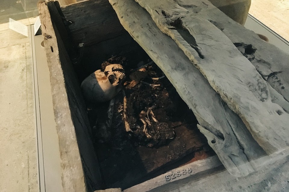 Wooden coffin with the remains of a skeleton