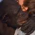 Heart-Warming Video Depicts A Woman Reuniting With Two Chimpanzees After 25 Years