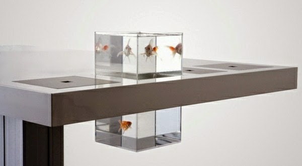 Use aquarium as a room divider &#8211; 26 examples.