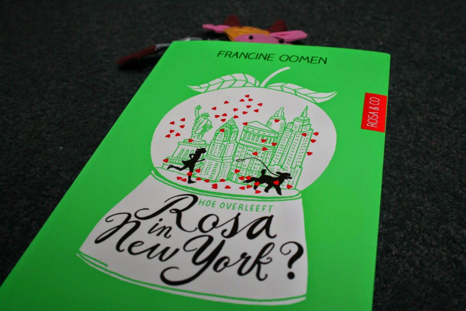 Fourteens Book review Hoe overleeft Rosa in New York?