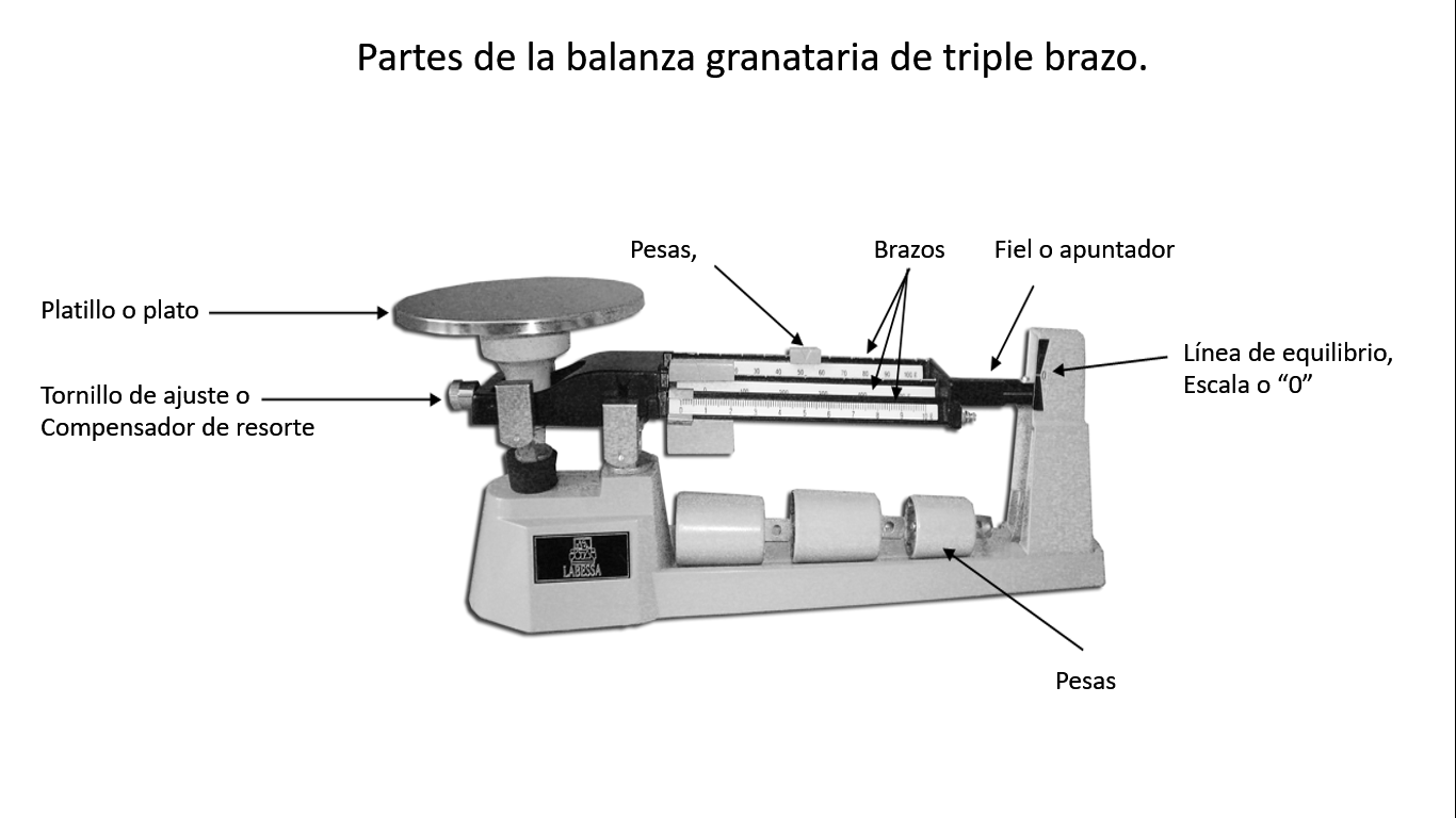 SECUCIENCIAS Balanza granataria y técnica de pesado. SECUCIENCIAS Balanza granataria y técnica de pesado.