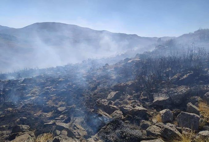 Bozkır Sarıot Yaylasında on dekar alan yandı.