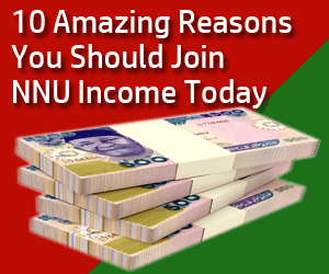 11 Good Reasons Why you Should Join NNU.ng Income Platform