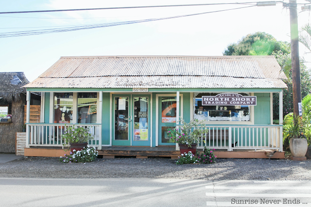 haleiwa,oahu,hawaii,north shore,city guide,visite privée,beach life