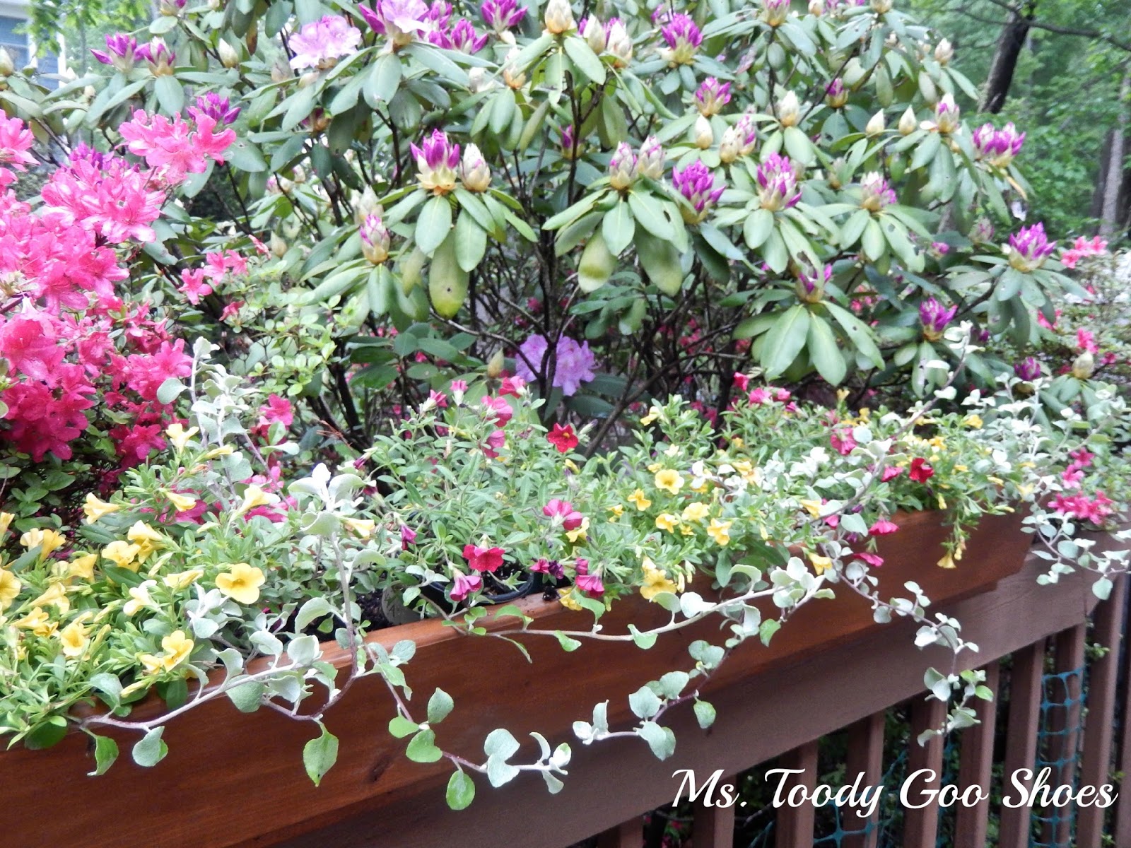 Make A Flower Box For The Deck --- Ms. Toody Goo Shoes