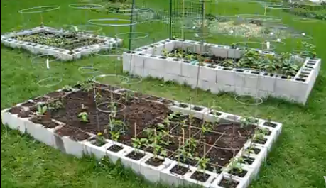 Honey & Butter: Making a Cinder Block Raised Bed Garden