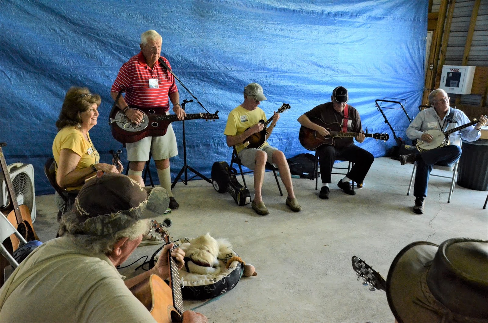 Ted Lehmann's Film, Books, Music & Commentary Palatka Bluegrass
