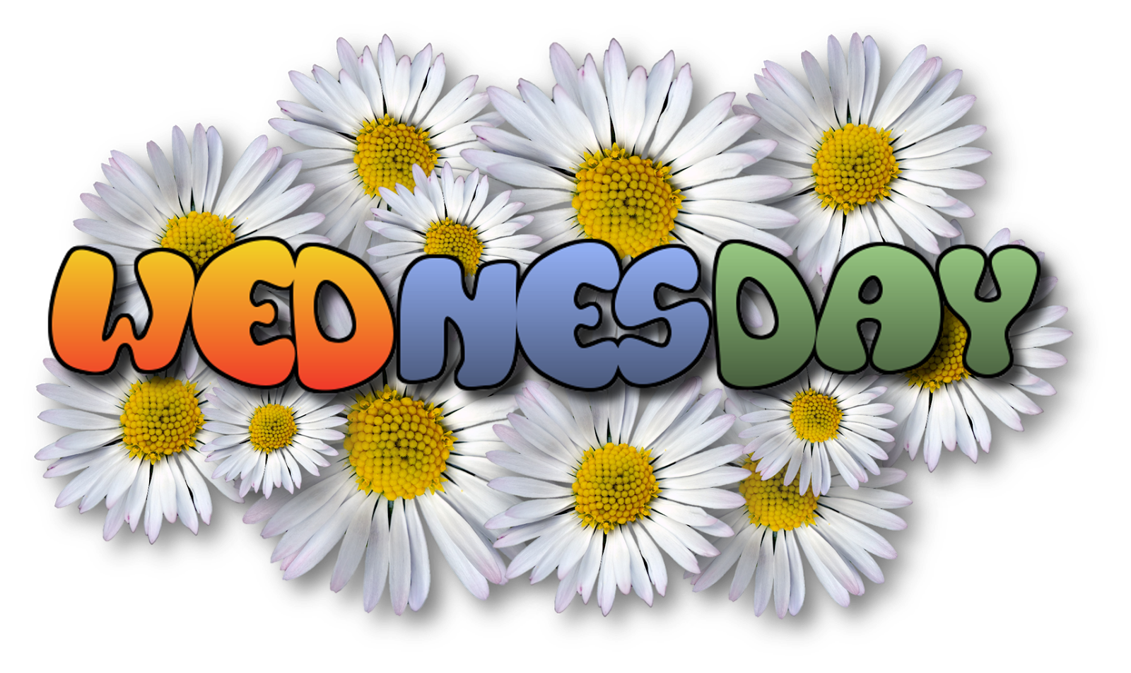 The Names Of The Days Of The Week TVanakku BBM
