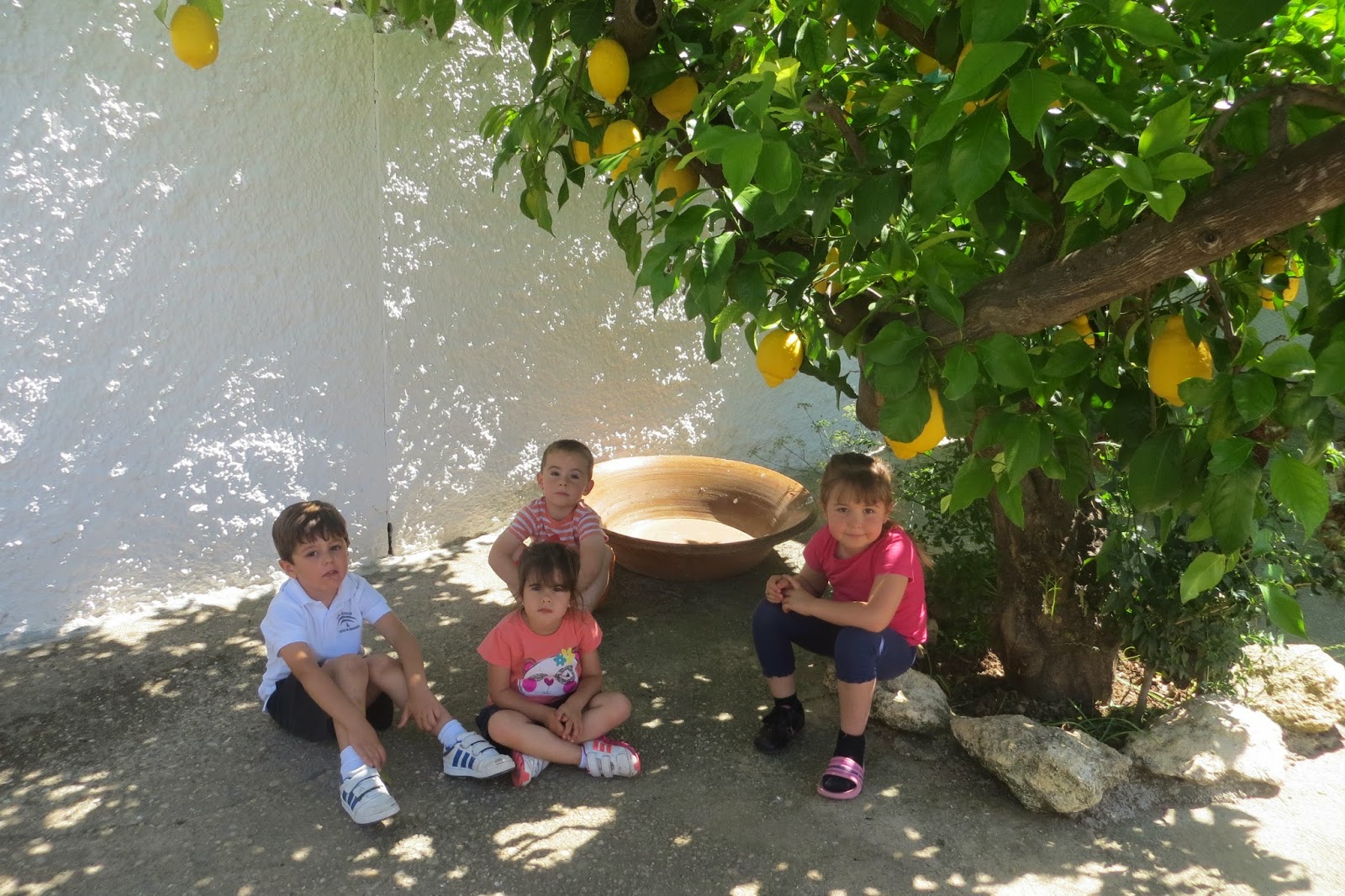 CPR.BEMBEZAR: LOS PATIOS DE CÉSPEDES EN LA PRIMAVERA DEL AÑO 2014