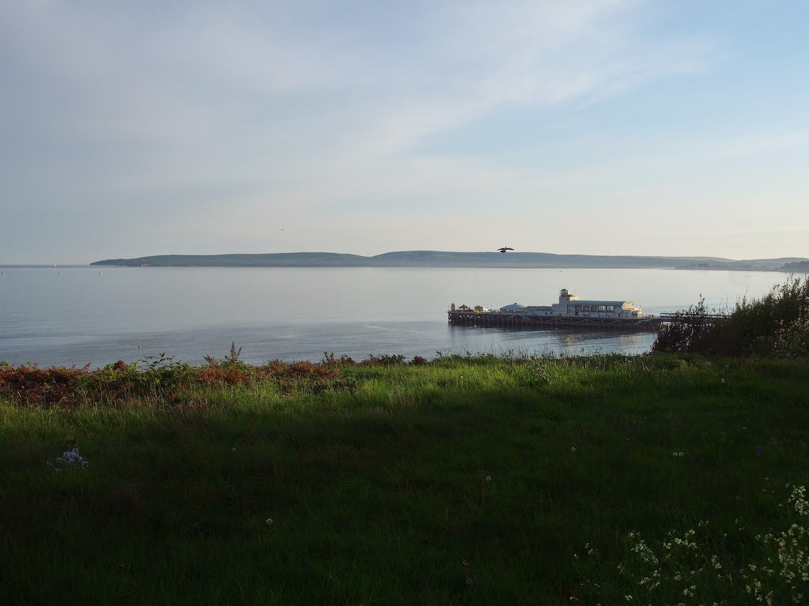 The Beauty Of The Beach