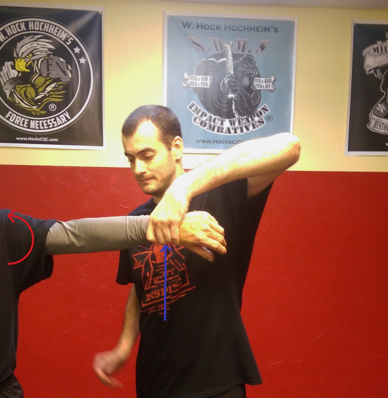 Martial Arts Science Joint Locks