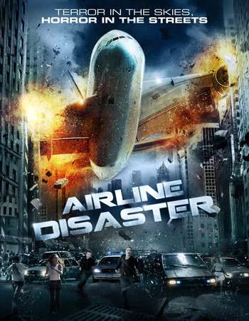 Airline Disaster 2010 Hindi Dubbed 720p BluRay x264