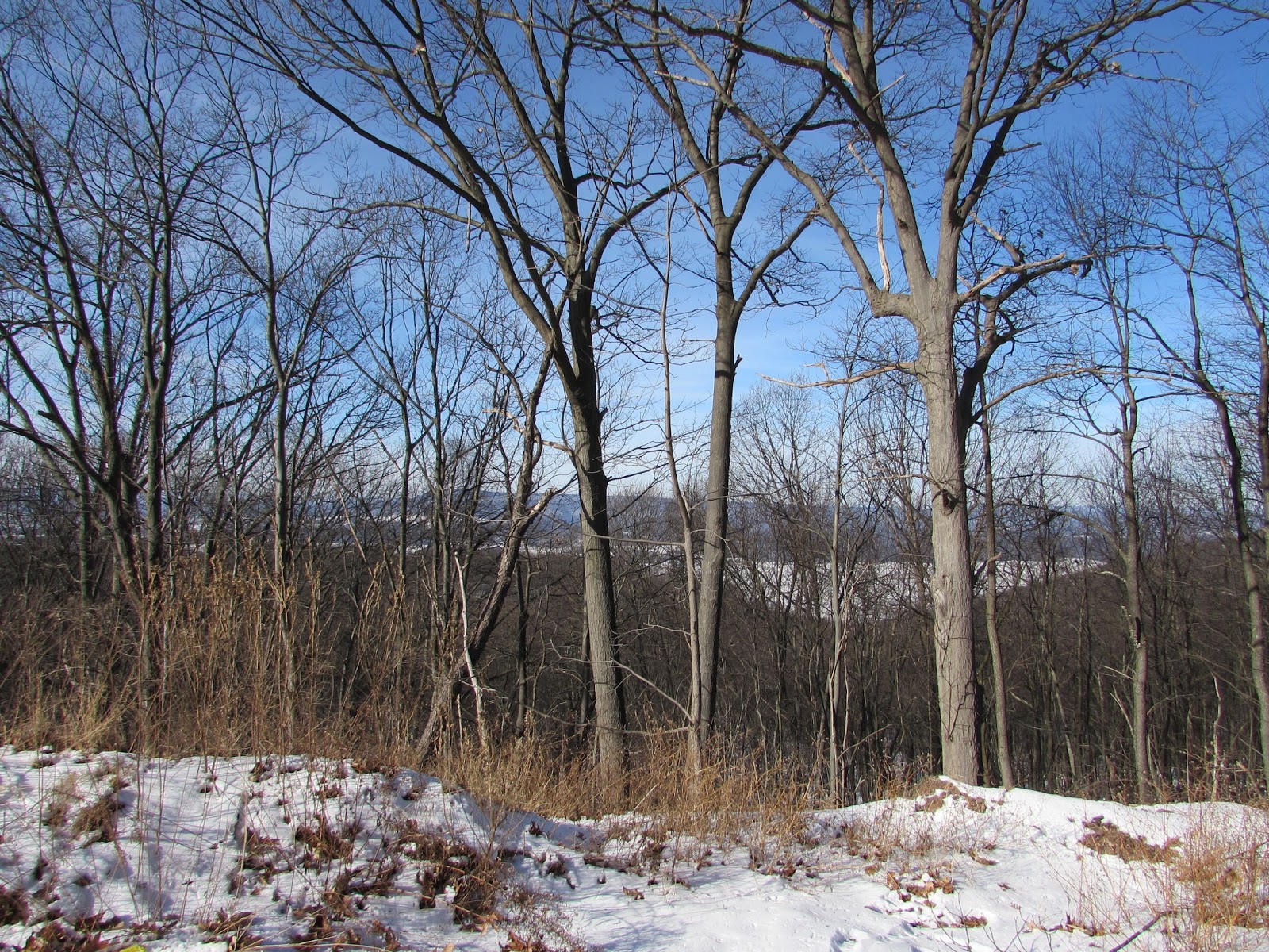 Historic Borough of Roaring Spring, Blair County Interesting