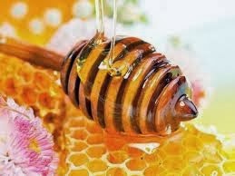 manfaat madu untuk tubuh