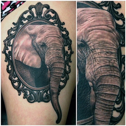Pachyderm Retrato