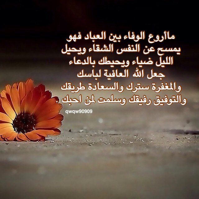 adindanurul تحميل اجمل الصور المعبرة عن الوفاء الحقيقي