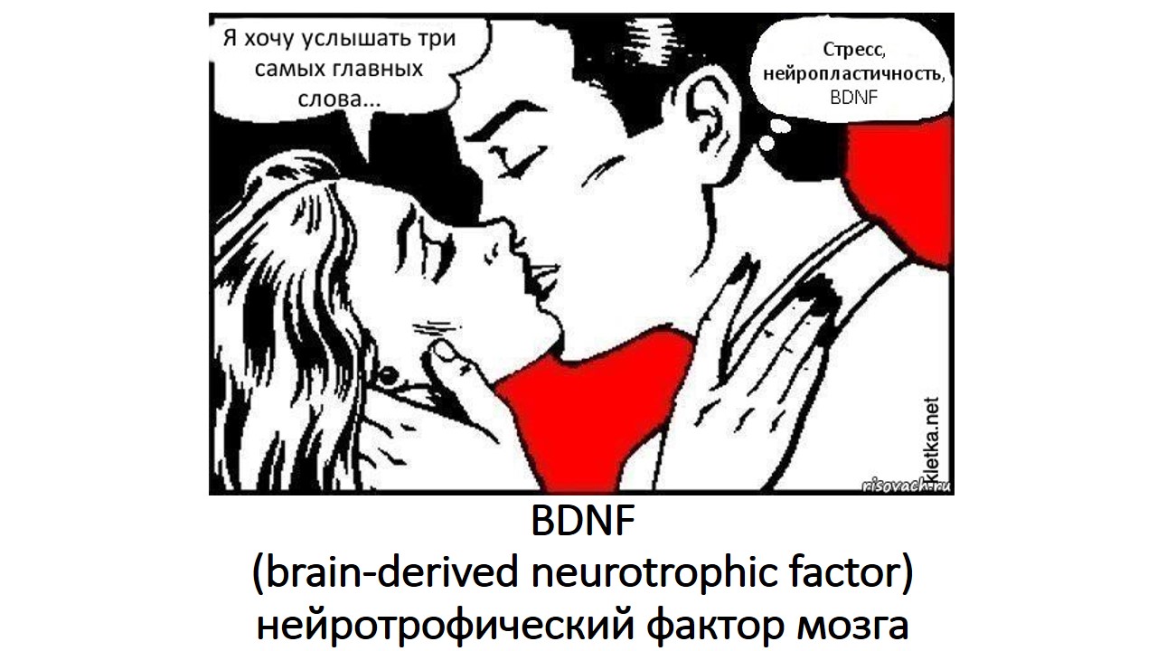 я хочу услышать три главных слова. хочу услышать группу. три самых главных слова. три главных слова мем. хочется услышать три главных слова.