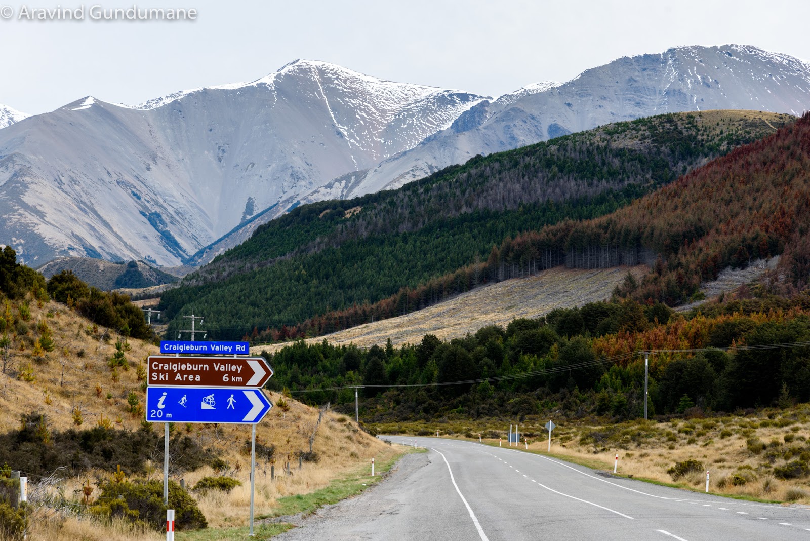 Treks and travels New Zealand day 9 Arthur's pass