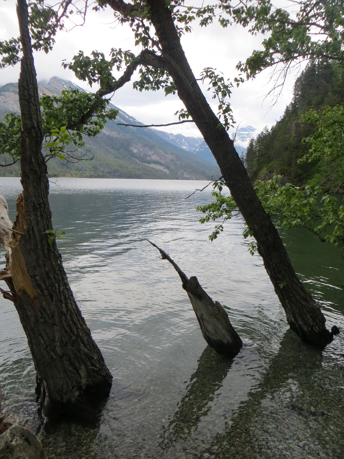 The Humble Hiker Bertha Lake, Waterton Lakes National Park