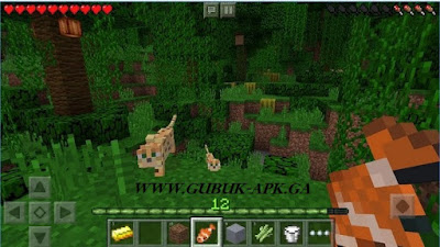 Minecraft: Pocket Edition Minecraft: Pocket Edition
