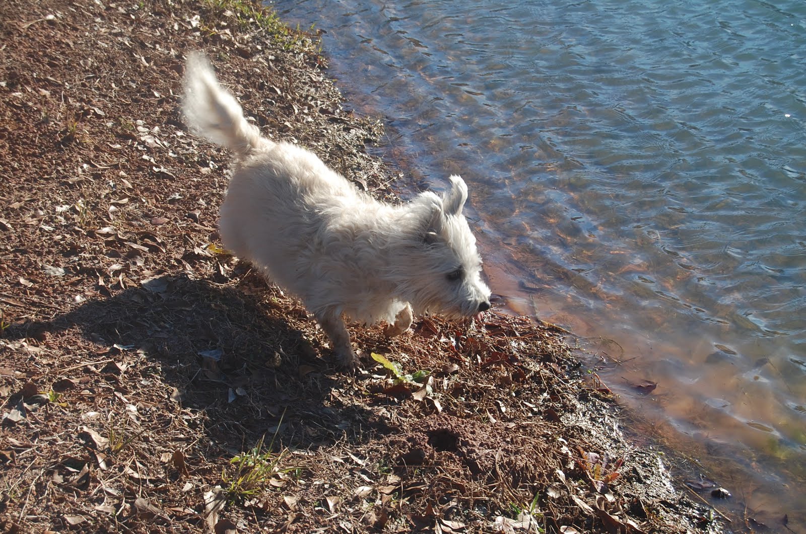 BITS \u0026 PIECES: Operation Christmas Child