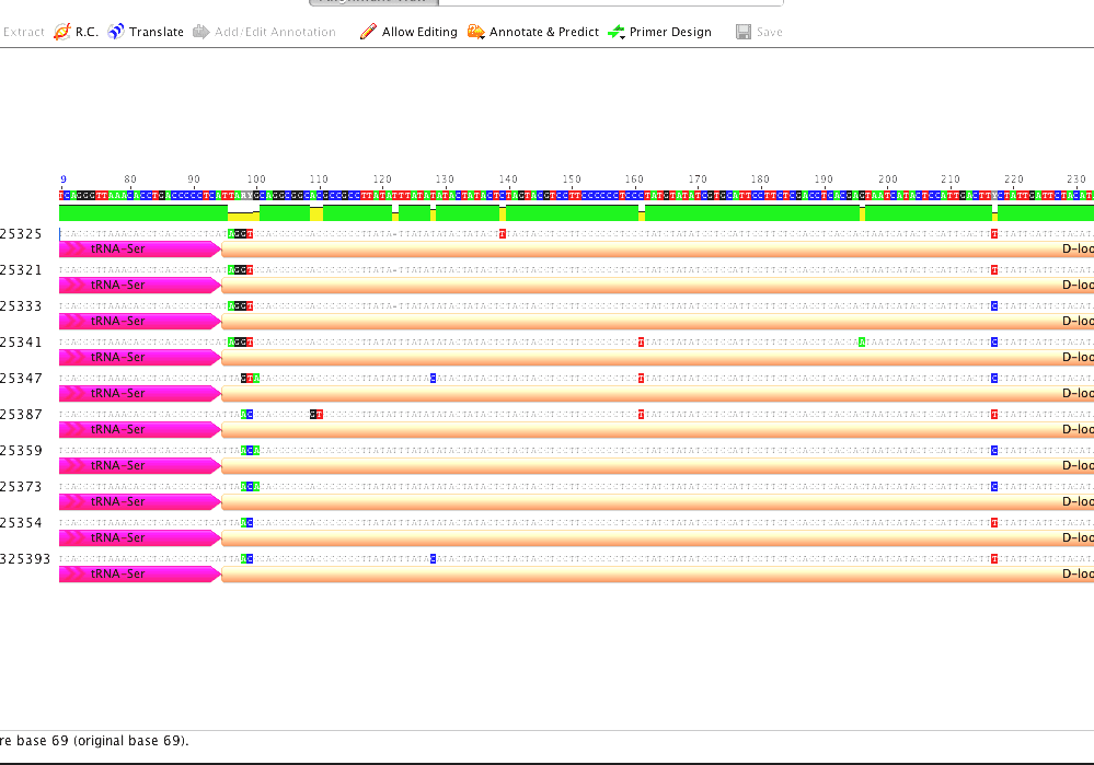 Sequence Alignment Protein Alignment Tools