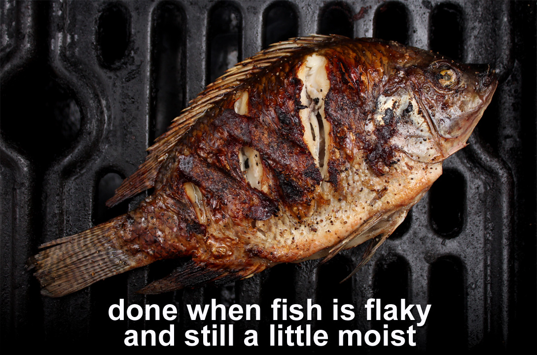 The 99 Cent Chef Grilled Fish Video Recipe