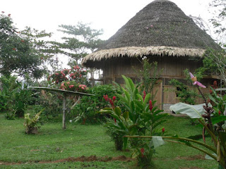 Turismo verde o sostenible en Costa Rica Yorkin Turismo verde o sostenible en Costa Rica Yorkin