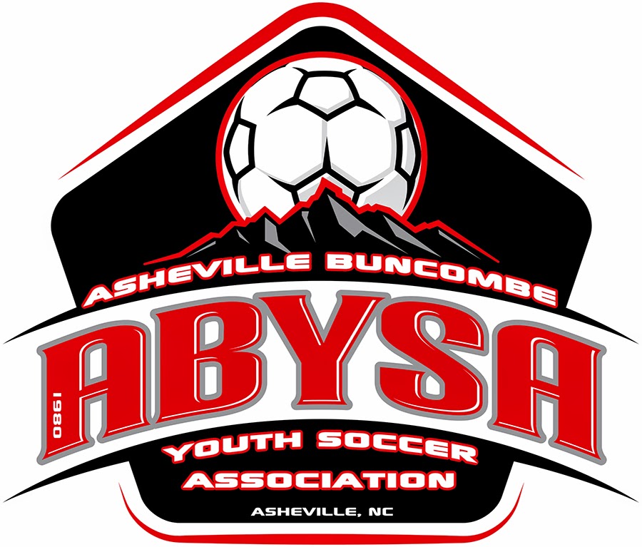 Abysa Asheville Business Blog: Small Business of the Month: ABYSA