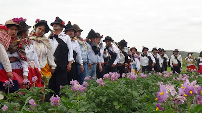 Foto: ANDINA/Difusión.